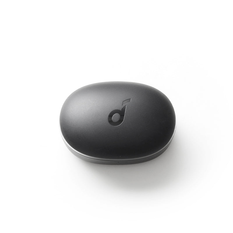 soundcore P2 Mini Charging Case - Black